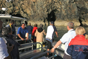 Evening Puffin and Shearwater boat trips islands cruise