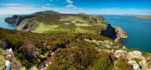 Ramsey Island RSPB Nature Reserve Pembrokeshire coast National Park