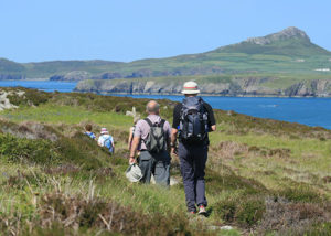 guided walks on ramsey island with RSPB guides