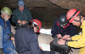 The team busy deploying a GPS device on a Balearic Shearwater at Sa Cella