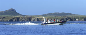 Jet Boat trips Ramsey Island St Davids