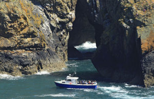 Boat trips around Ramsey Island with Thousand Islands Expeditions