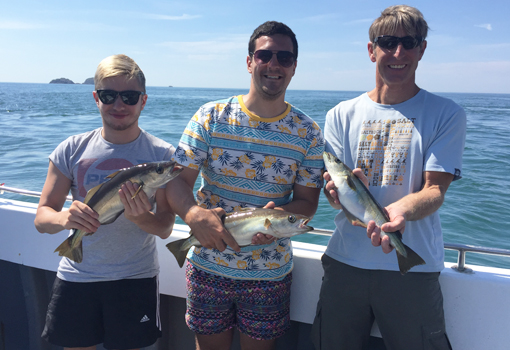 Fishing trips for mackerel pollock and bass