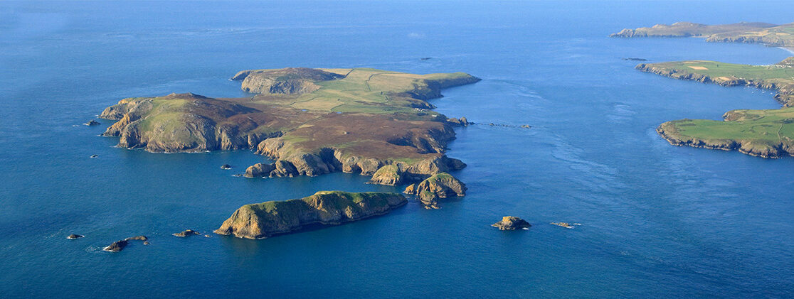 Pembrokeshire Islands Ramsey Island RSPB Nature Reserve